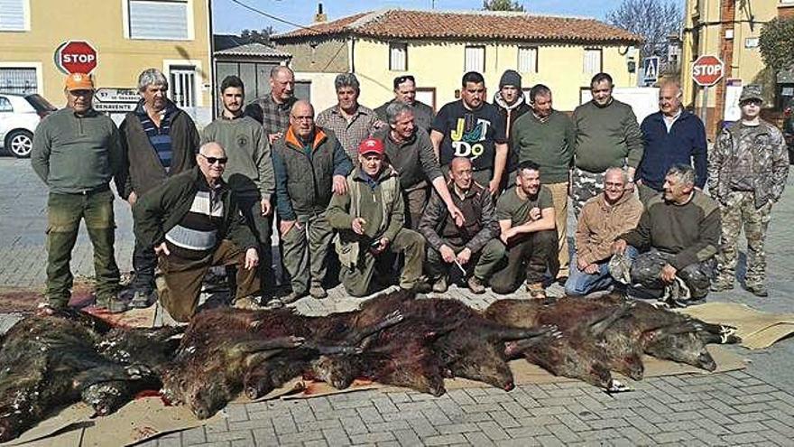 Cazadores del coto de Santa Marta capturan 10 jabalíes