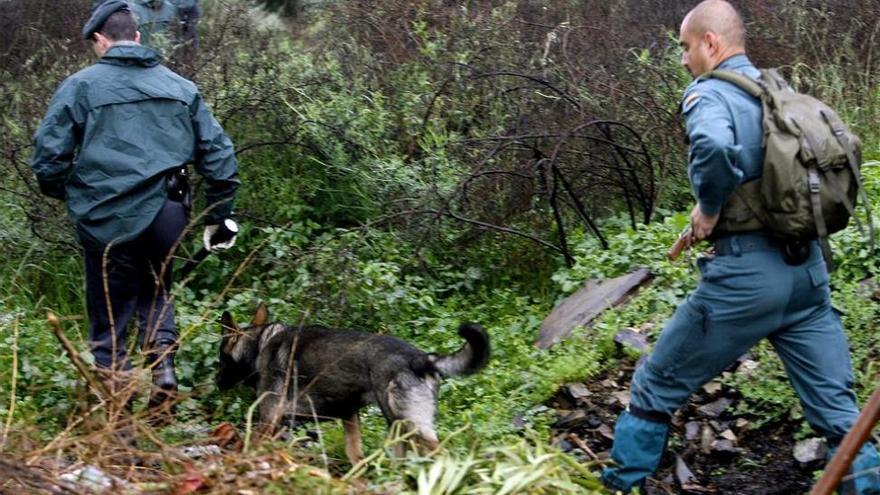 En 2017 se registraron 9 alertas por desaparición en Aragón