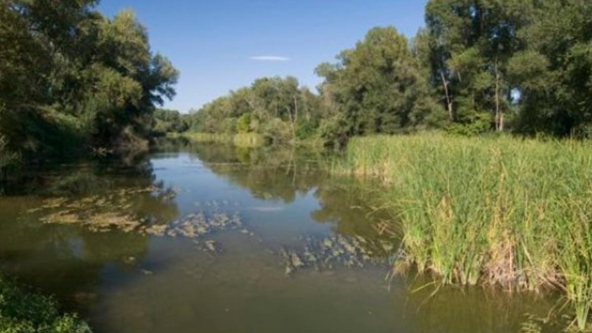 Una imatge d'arxiu del riu Fluvià.