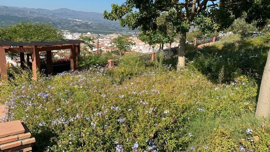 Denuncian en Vélez el abandono del jardín del Cerro de la Patrona