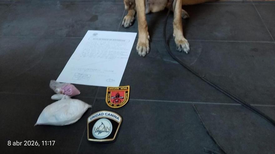 a de la Policía Local interviene 210 gramos de cocaína en la estación de autobuses de Alicante