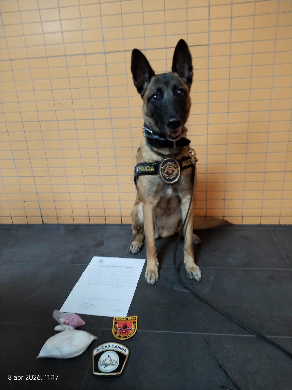 Imagen de la droga intervenida durante la actuación