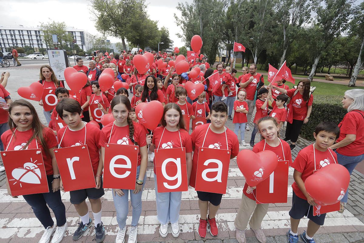 La marcha de la donación, en imágenes