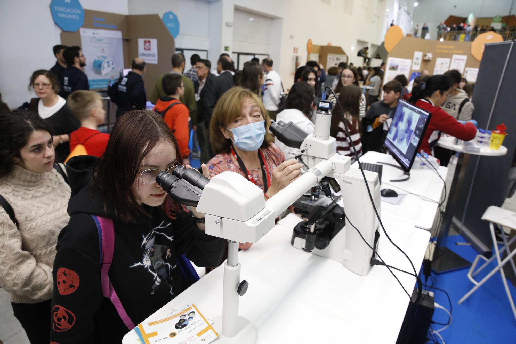 En imágenes: Gijón acoge la I Feria de la Ciencia y la Innovación de Asturias