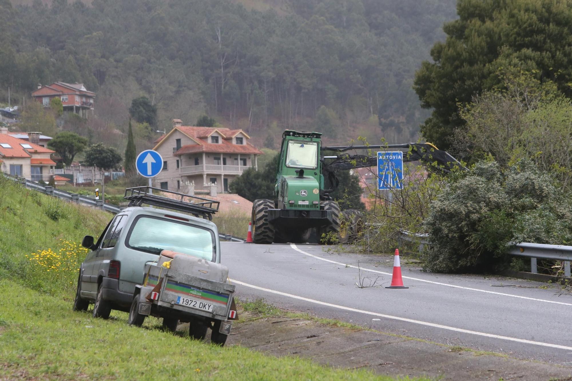 La autovía de O Morrazo gana vistas al mar tras la tala de eucaliptos