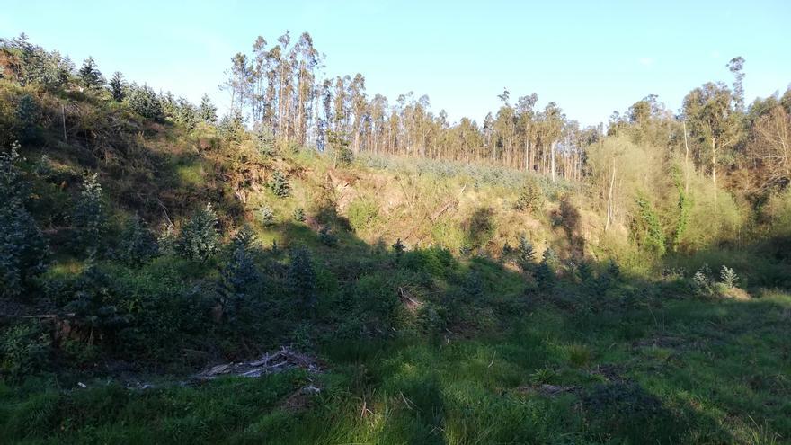 La dificultad de exhumar la fosa de Beira, en Carral, para encontrar a 18 represaliados