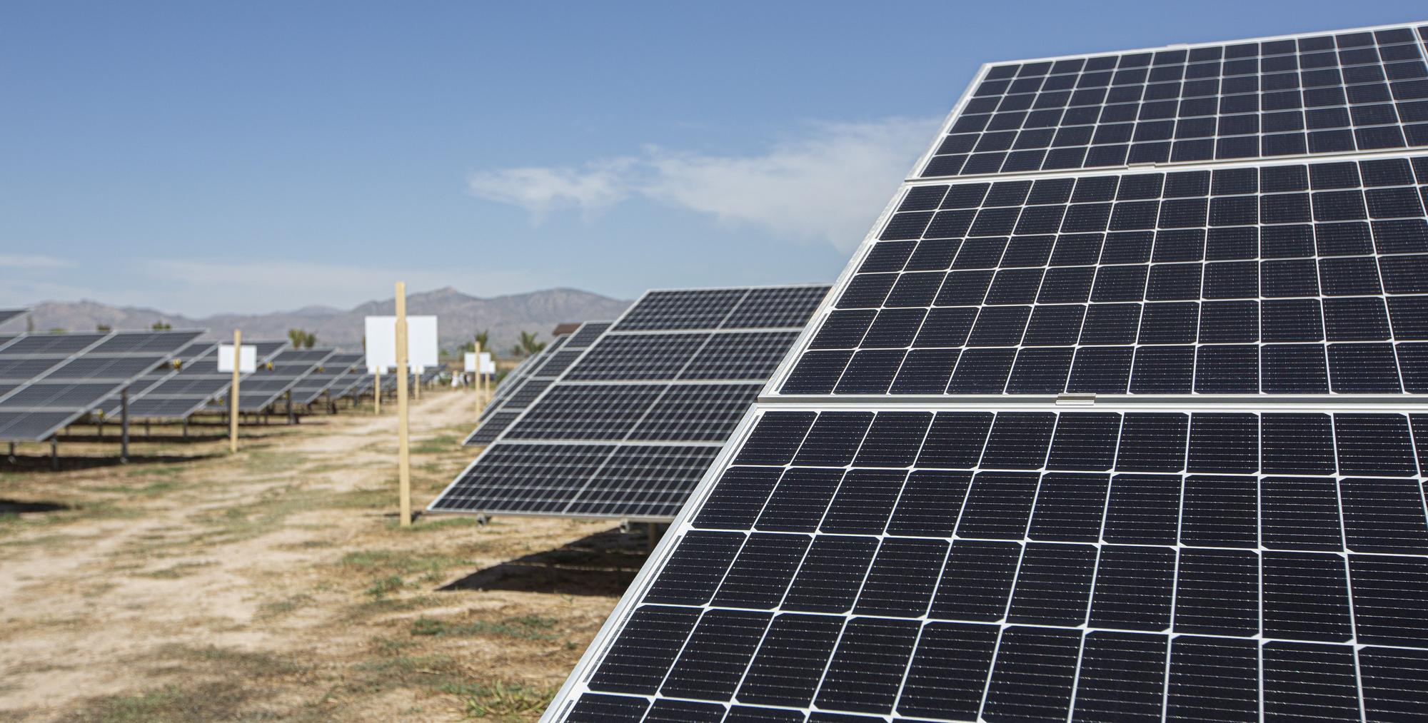 La primera planta solar de la cooperativa eléctrica de Catral ve la luz después de tres años