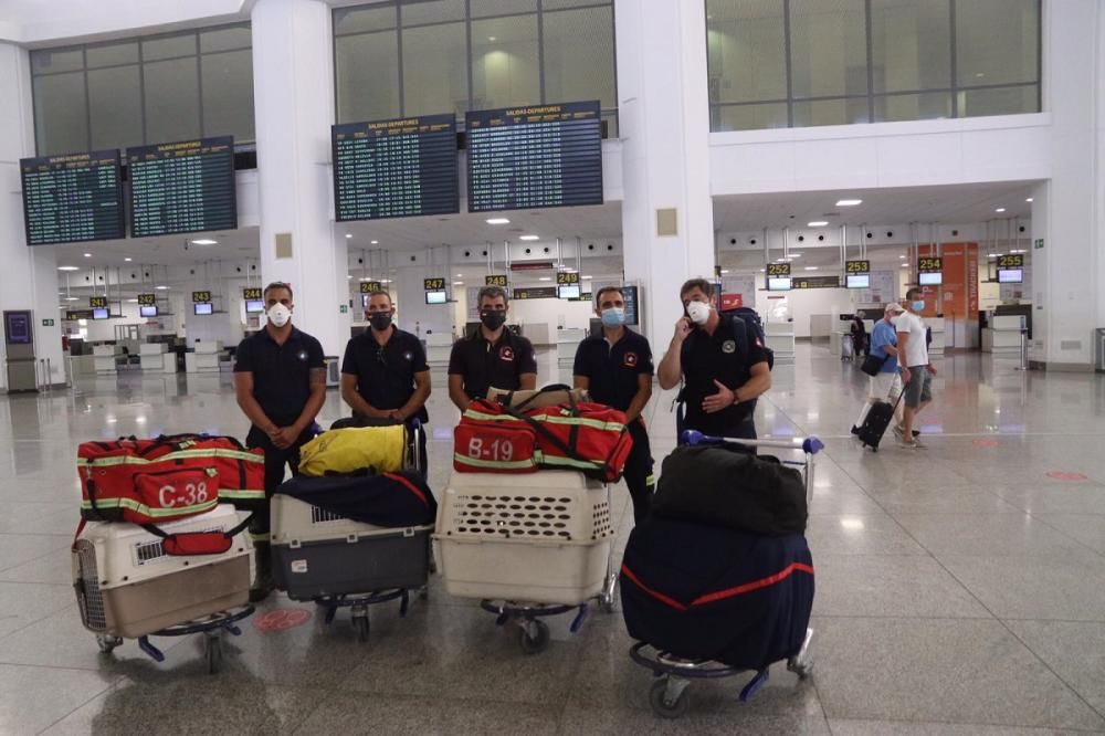 Bomberos del Consorcio de Málaga viajan a Beirut para encontrar supervivientes