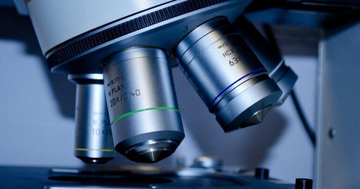 Día Mundial contra el Cáncer: Así estamos consiguiendo reducir su mortalidad