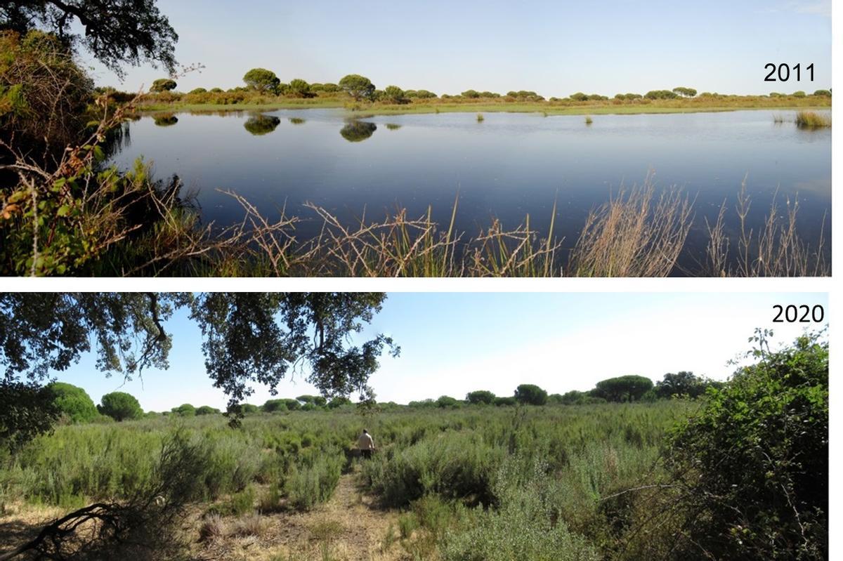 Antes y después de una de las lagunas de Doñana