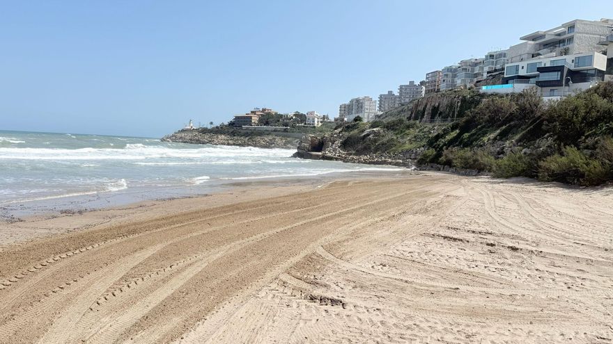 Cullera retira miles de medusas de la playa del Dosel