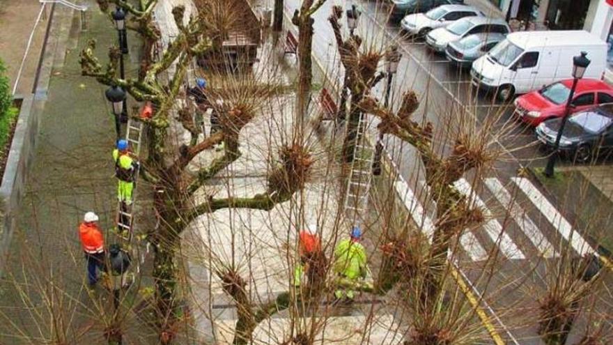 Operarios municipales realizando ayer las tareas de poda en la calle candasina de Bernardo Alfageme.