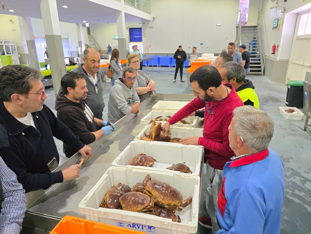 Operaciones de primera venta en la lonja de O Grove.