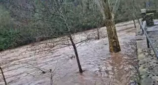 VÍDEO | La Muga baixa plena des d'Albanyà i Sant Llorenç cap el Pantà