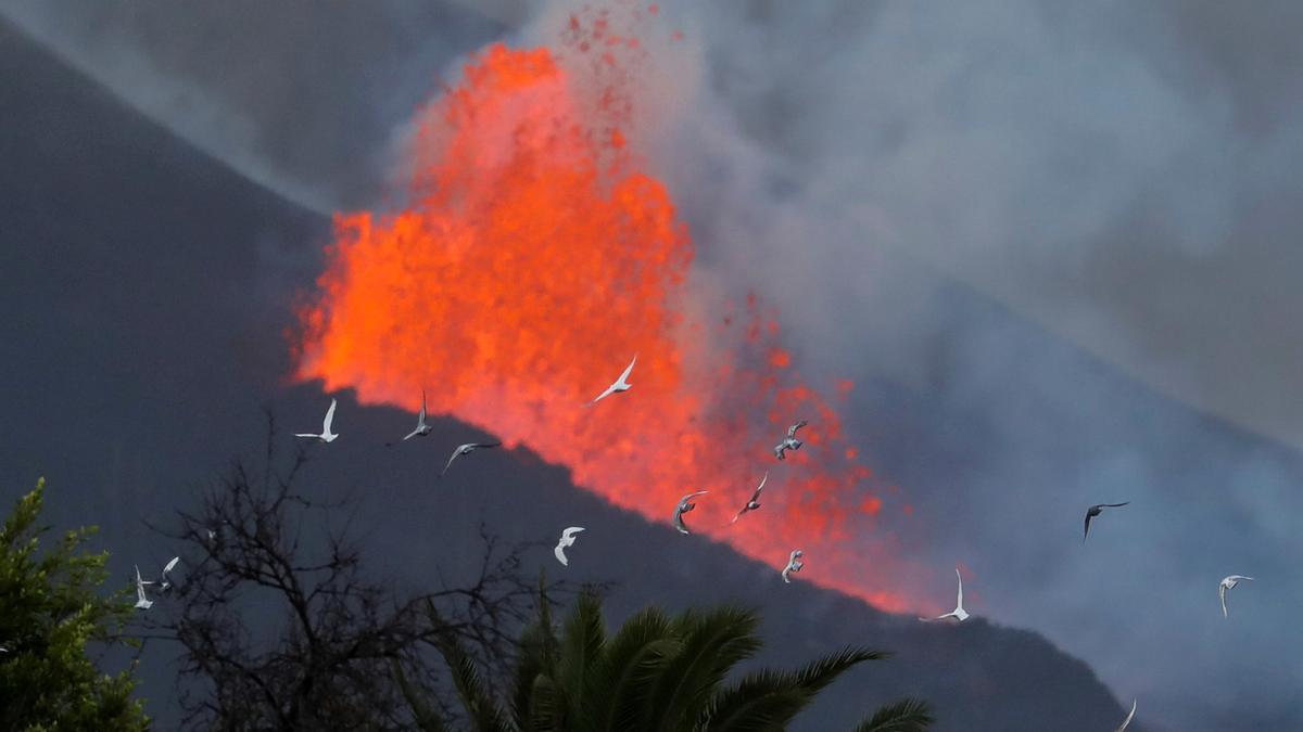 El volcán de la Palma entra en "fase efusiva".