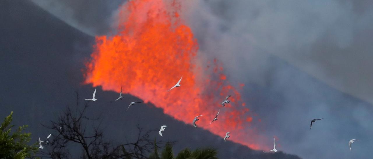 El volcán de la Palma entra en "fase efusiva"