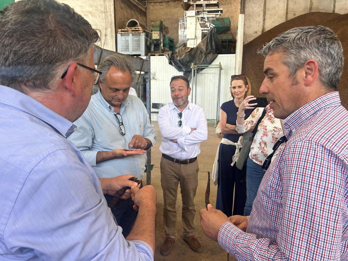 El conseller de Agricultura, Pesca y Medio Natural, Joan Simonet y el consejero canario, Narvay Quintero en su visita institucional