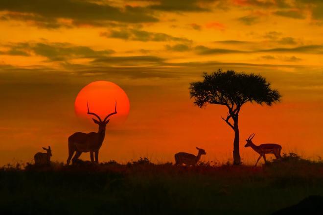 Kenia, países belleza natural