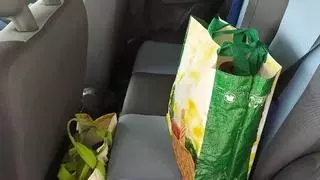 La multa que te puede caer por dejar las bolsas de la compra en el coche