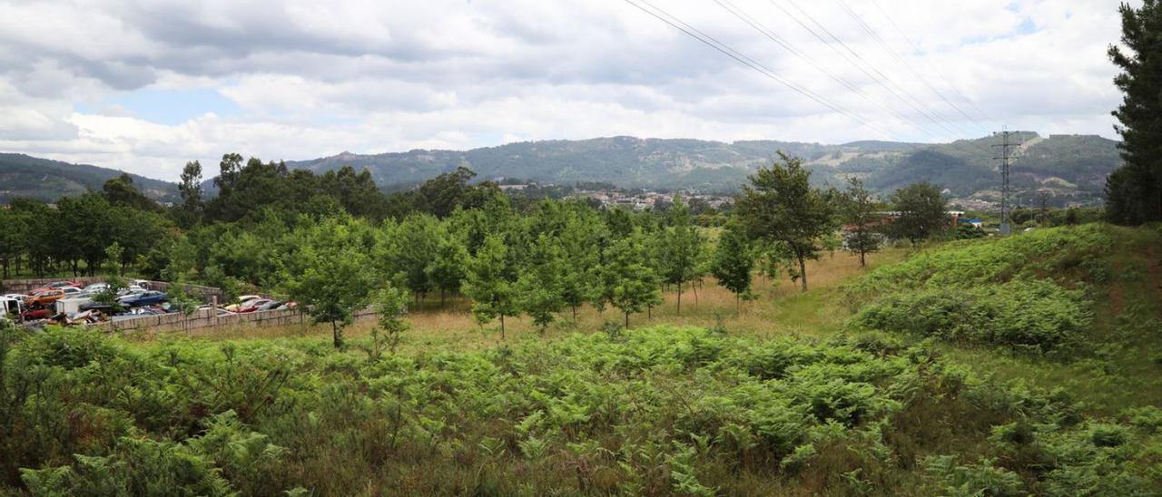 Parte del terreno afectado en el que Zona Franca proyecta un centro de transportes. |  // ANXO GUTIÉRREZ