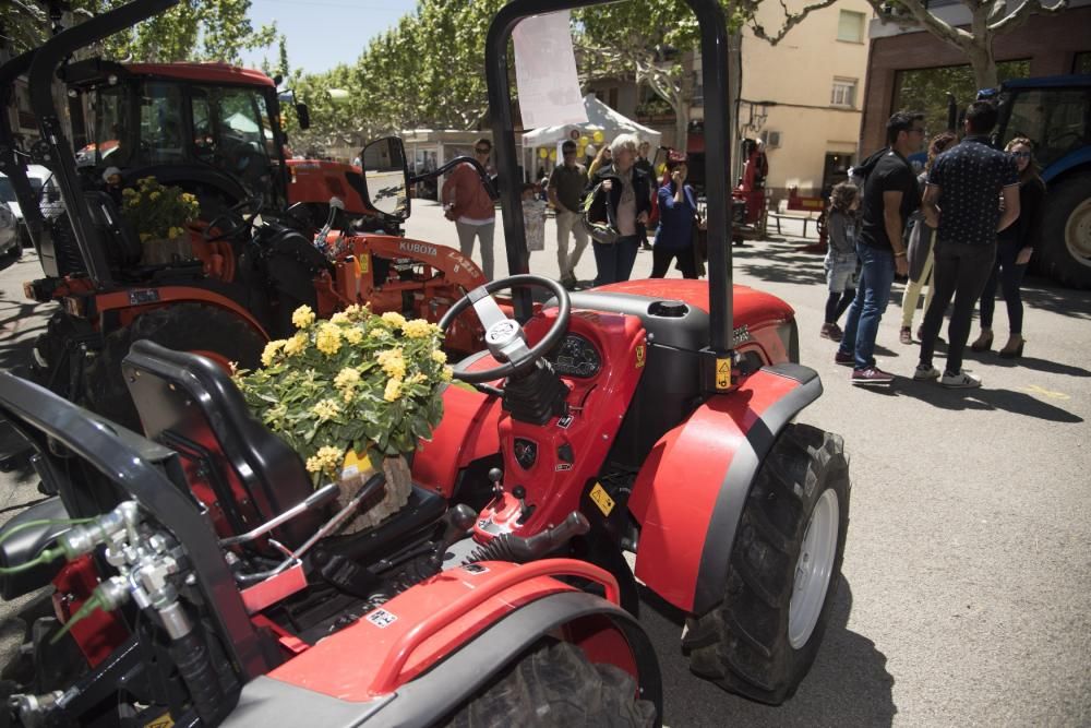 Fira de Primavera de Navàs 2019