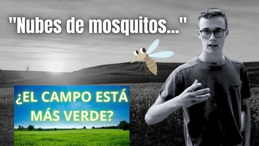 Jorge Rey habla de las “nubes de mosquitos” en su último pronóstico: “¿El campo está más verde?”