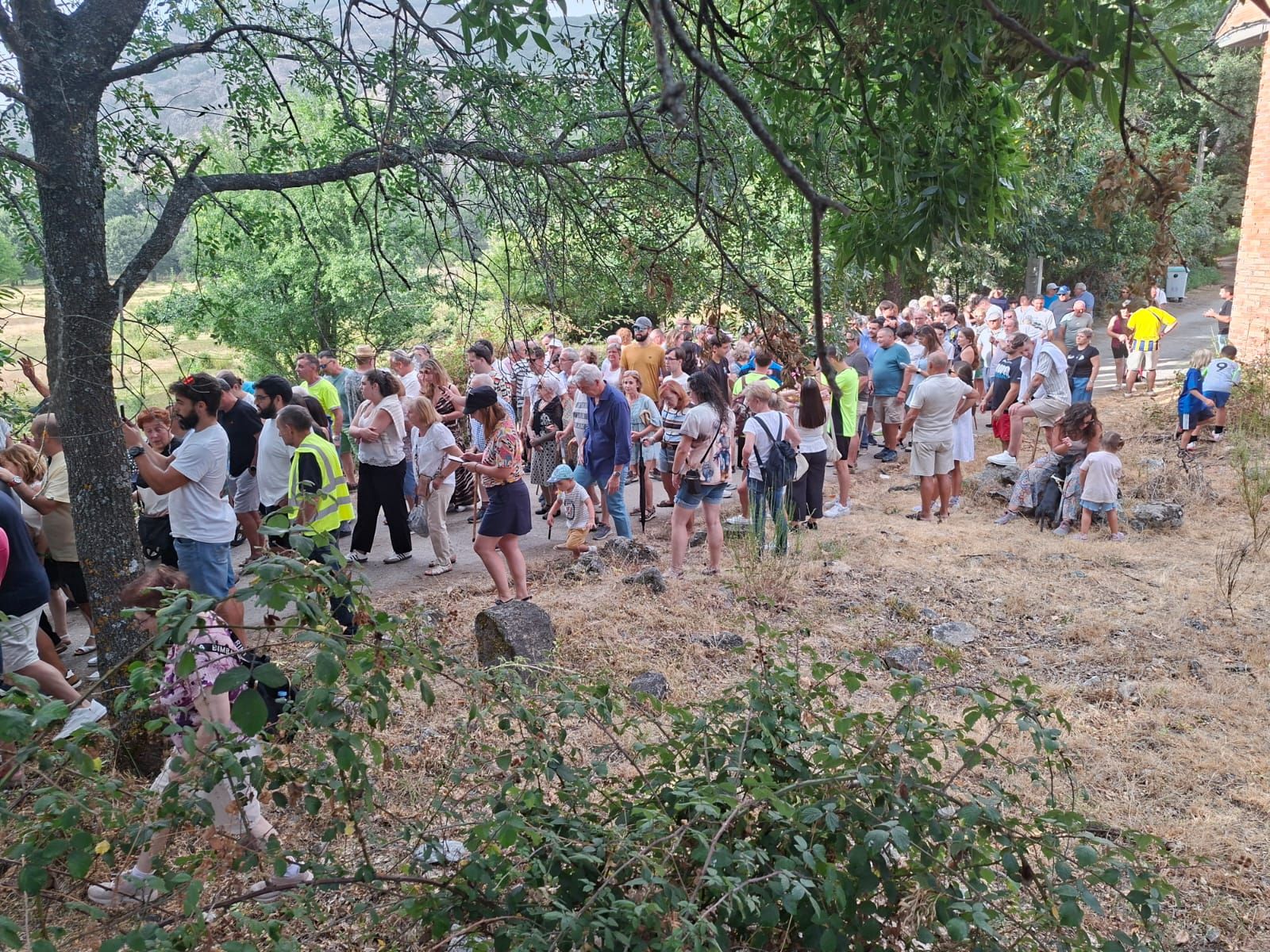 Unas 700 personas se manifiestan en Ribadelago.