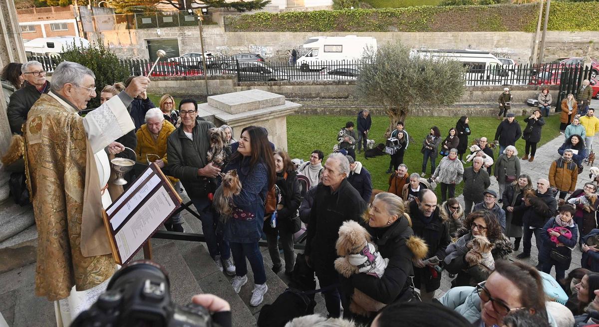 Las mascotas devotas se congregan en Vigo por San Antón
