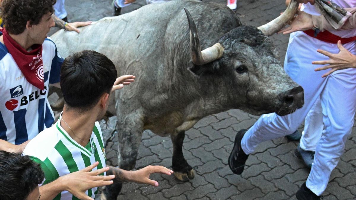 PAMPLONA, 12/07/2025.- Mozos perseguidos por uno de los toros de la ganadería de José Escolar en el sexto encierro de los Sanfermines, este sábado en Pamplona. EFE/Daniel Fernández