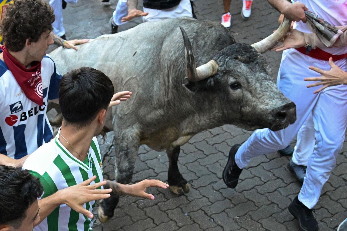 PAMPLONA, 12/07/2025.- Mozos perseguidos por uno de los toros de la ganadería de José Escolar en el sexto encierro de los Sanfermines, este sábado en Pamplona. EFE/Daniel Fernández