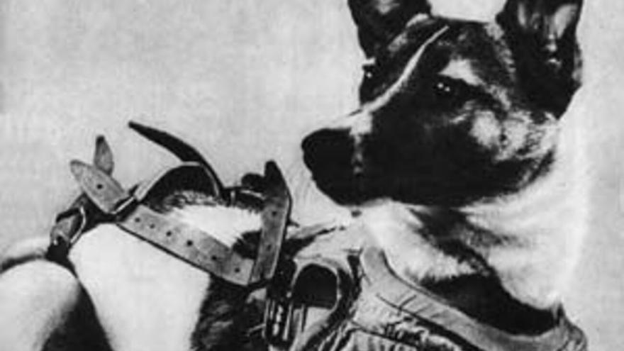 El impactante sacrificio de Laika, el perro que conquistó el espacio