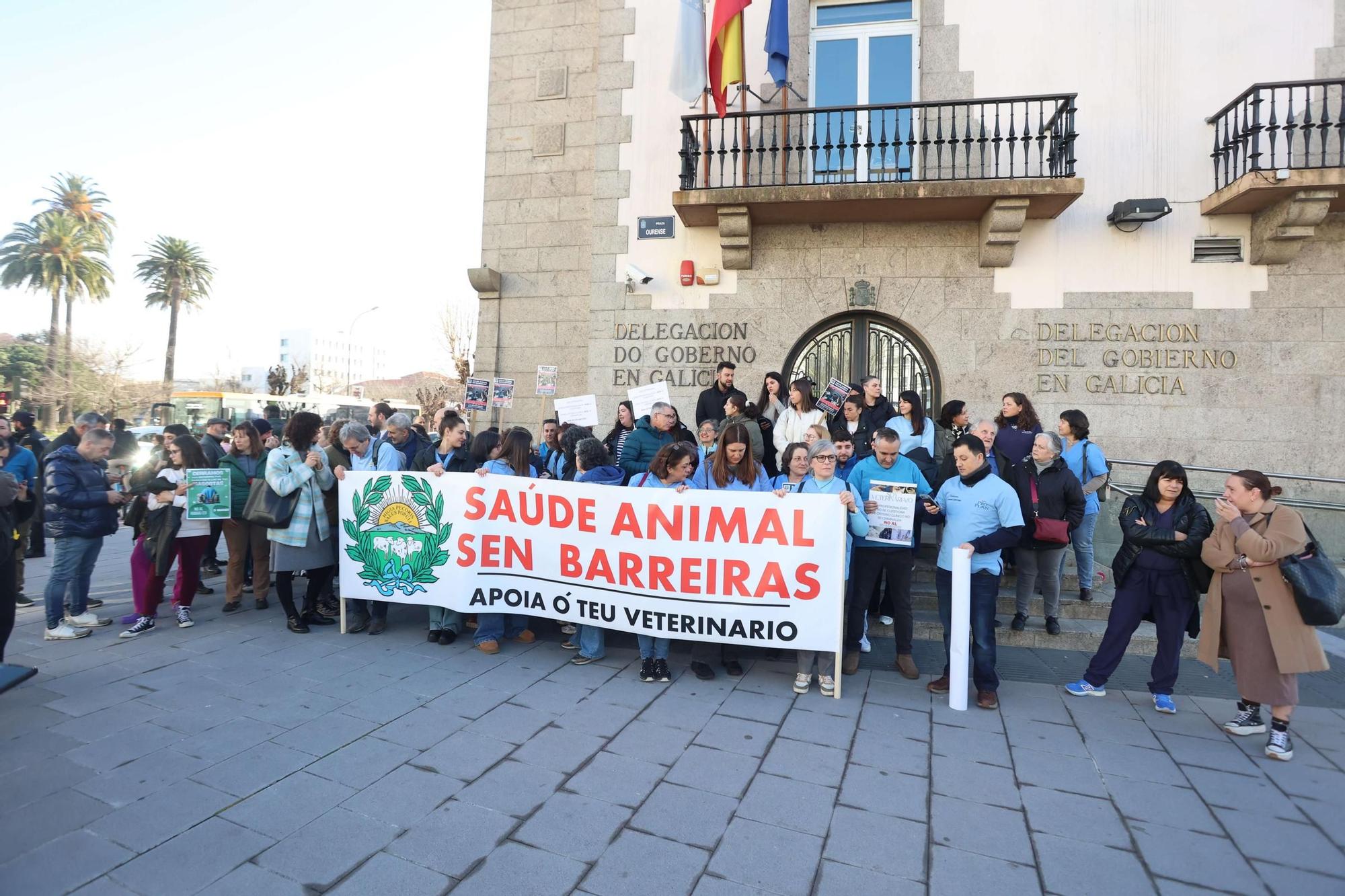 Protesta de veterinarios en A Coruña