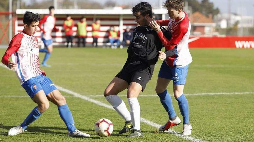 Una acción del Sporting-Calasanz de División de Honor Juvenil celebrado ayer en Mareo.