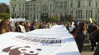 Cerca de 800 personas se manifiestan por la emergencia climática desplegando un 'ticket' gigante