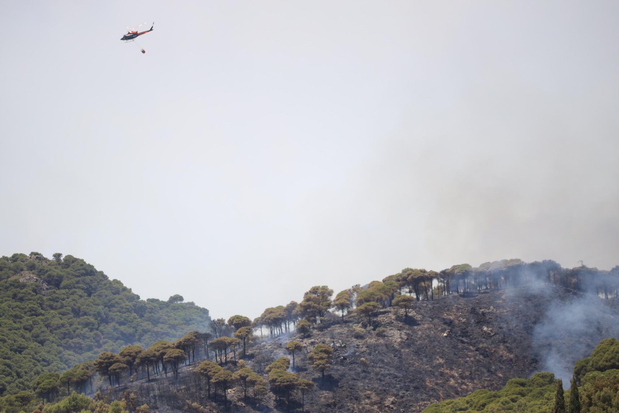 Declarado un incendio en la Sierra de Mijas