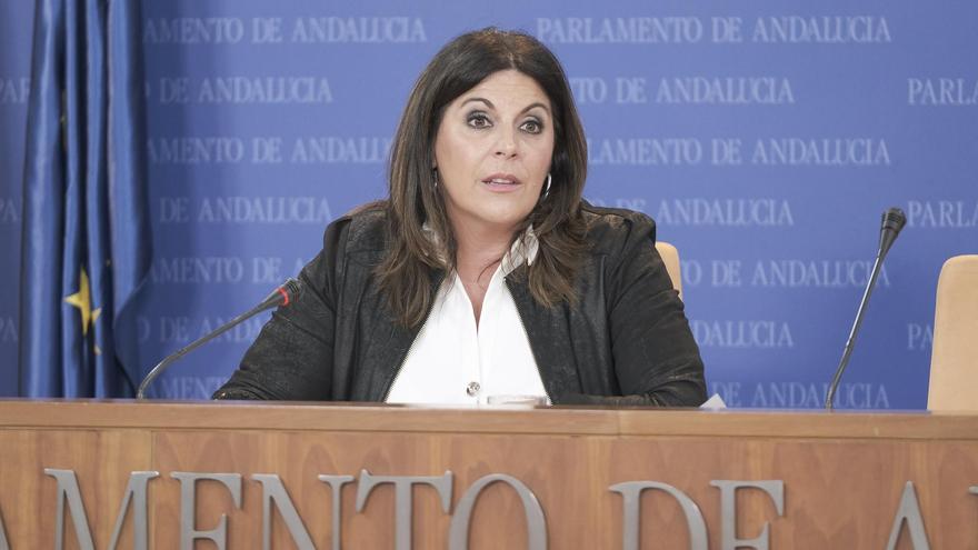 La portavoz socialista, Ángeles Férriz, en el Parlamento.