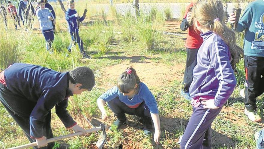 alumnes de betxí repoblen amb arbres autòctons