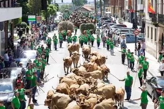 Marea verde en Llanera: el campo tomó la calle con el espectacular desfile de carros y animales