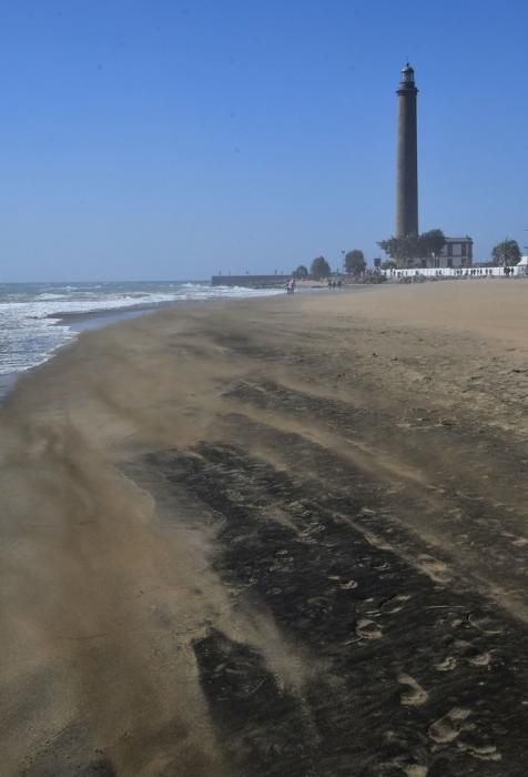 10/11/2019 MASPALOMAS. SAN BARTOLOME DE TIRAJANA. Ambiente en la playa de Maspalomas y Charca. Fotógrafa: YAIZA SOCORRO.  | 11/11/2019 | Fotógrafo: Yaiza Socorro