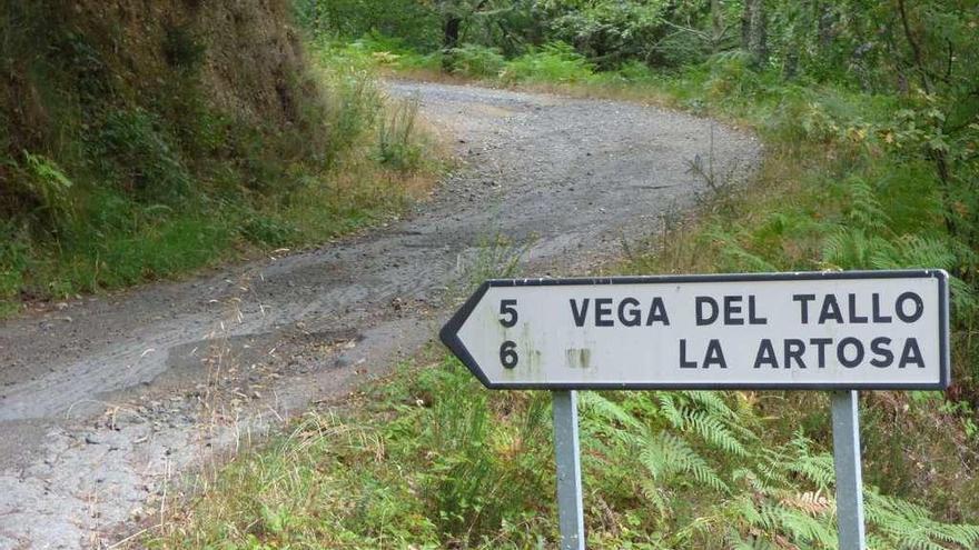 Entrada a los pueblos de Vega del Tallo y La Artosa por la carretera que sube al puerto del Connio.