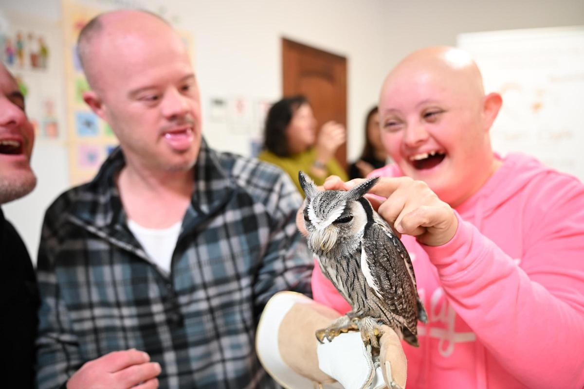 Terapia con aves rapaces para personas con diversidad funcional