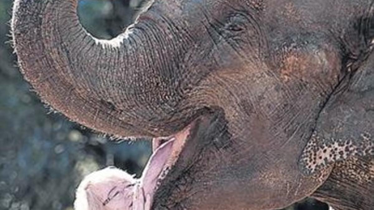 Un gesto de complicidad.