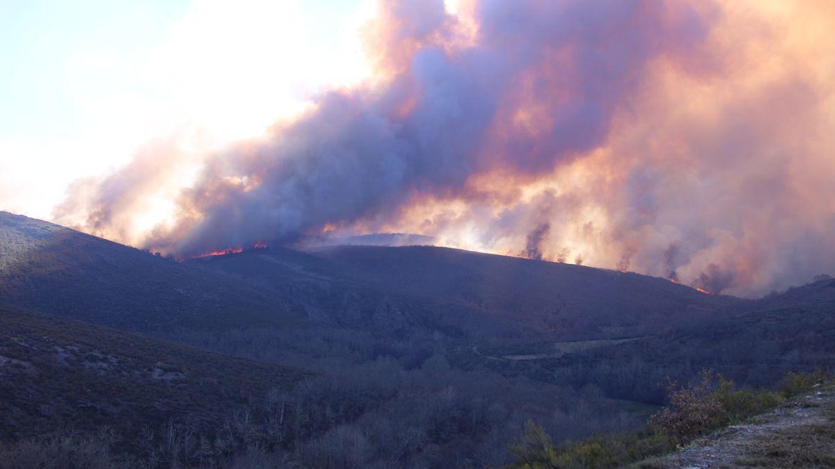 Imagen del incendio que afectaba el término de La Tejera, en la Alta Sanabria, el pasado 29 de enero.