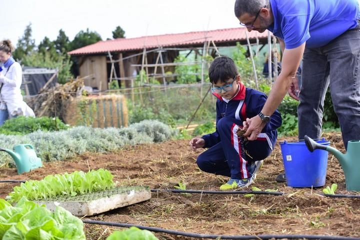 Visita escolar a la Granja Agricola del Cabildo