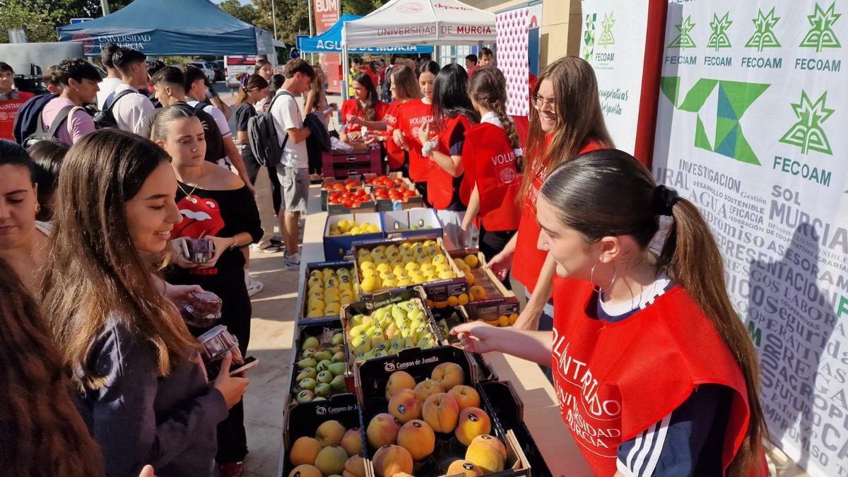 Numerosos universitarios se acercaron al stand de la federación para recoger fruta y verdura de forma gratuita.