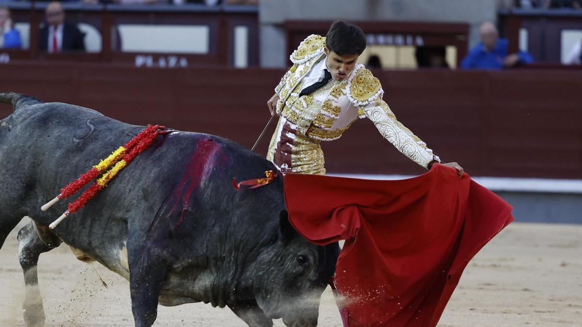 El diestro salmantino Manuel Diosleguarde, que confirmó hoy en Las Ventas su alternativa.