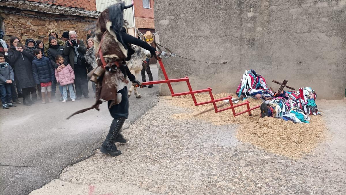 Cencerrones de Abejera