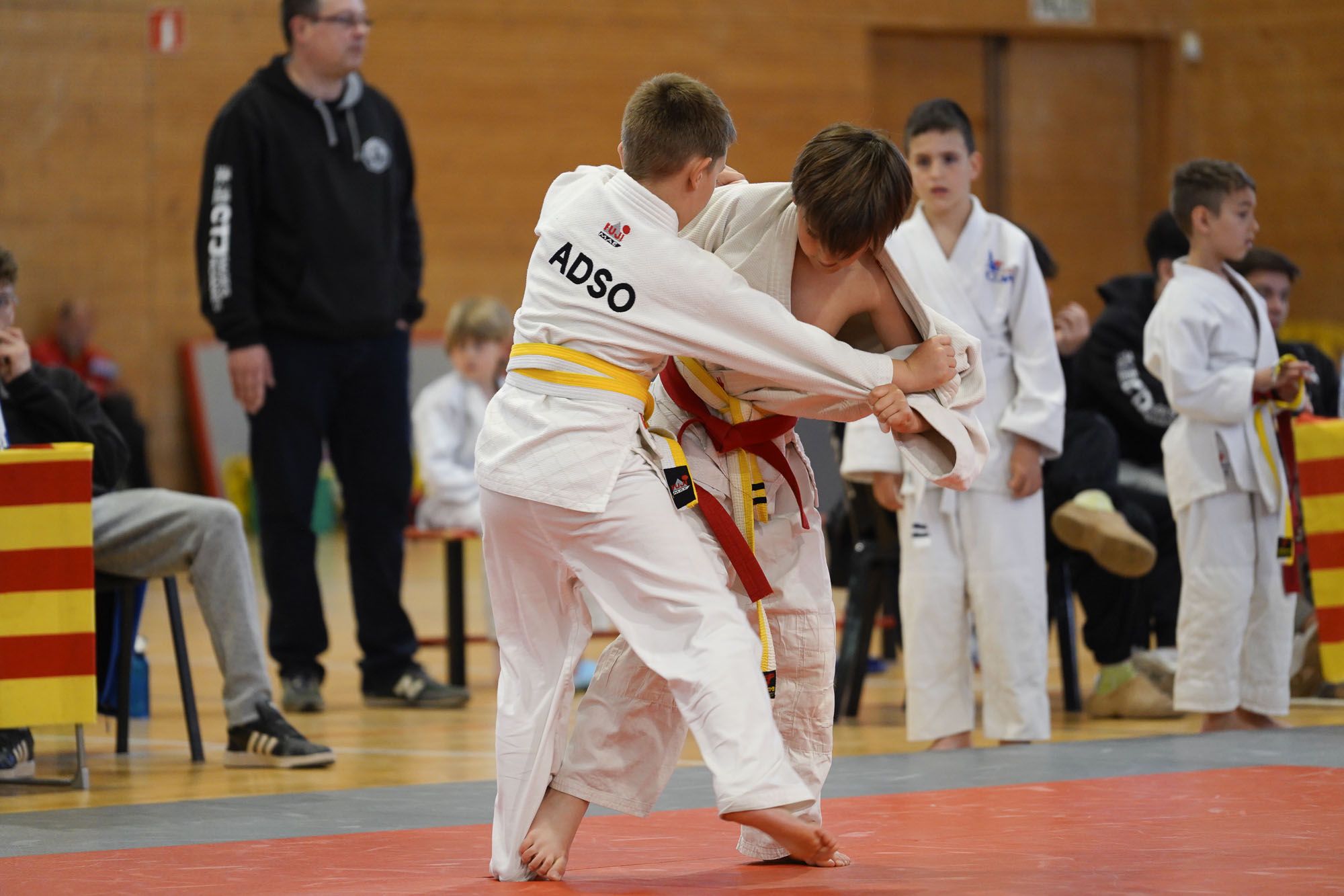 Les imatges del torneig infantil de judo de l'Escola 7