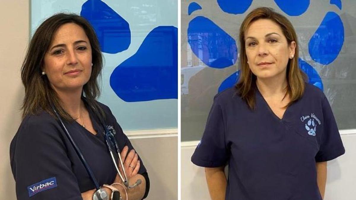 Sonia Rodríguez y Julia Bermejo, veterinarias en Cáceres.