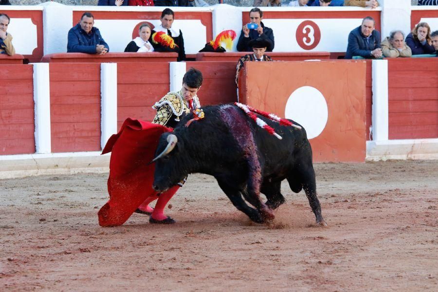 Tarde de toros en Zamora